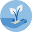 plant growing icon
