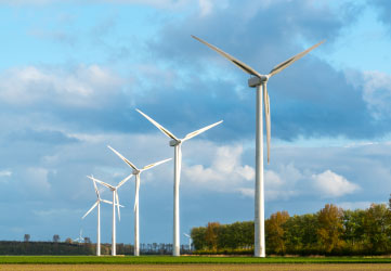 windmills on the field