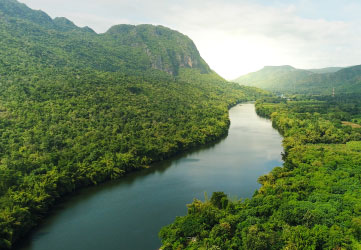 river in southeast Asia tropical green forest with mountains in background