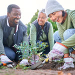 people volunteering in park plants trees