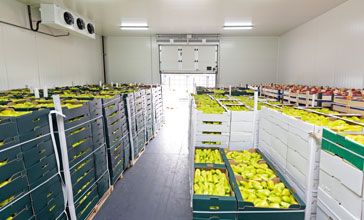 Peppers and apples in crates inside storage warehouse