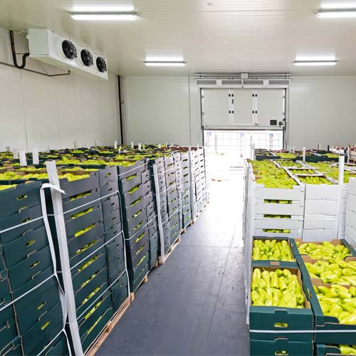 Peppers and apples in crates inside storage warehouse