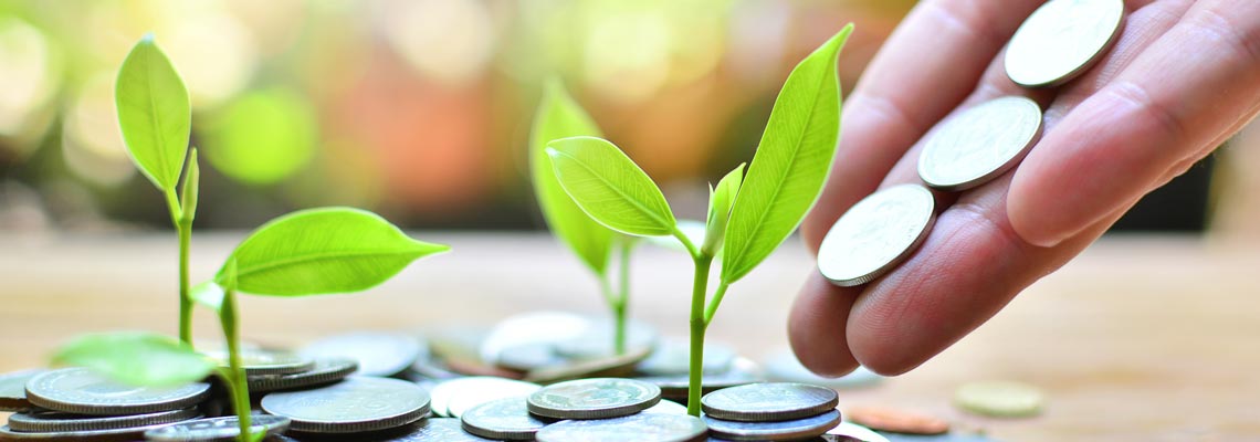 coins growth up to profit
