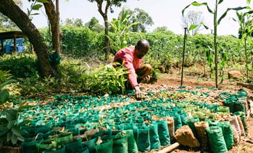 african man planting