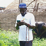 Filly working outdoors