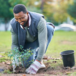 volunteering man plants trees in park