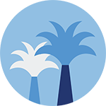 Palm trees illustrations