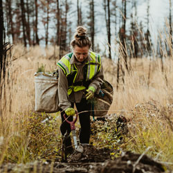 female planting trees