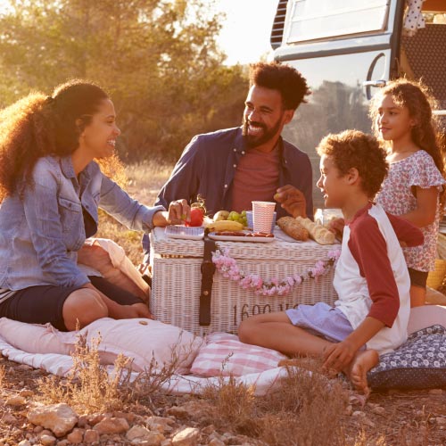Family having a picnic beside their camper van