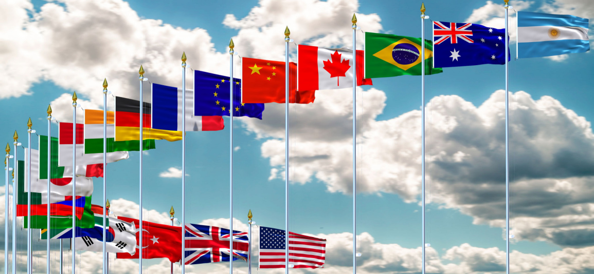 G20 flags