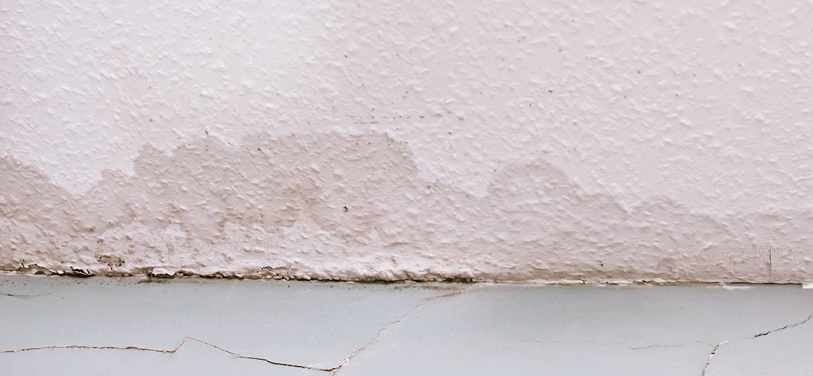 wet wall