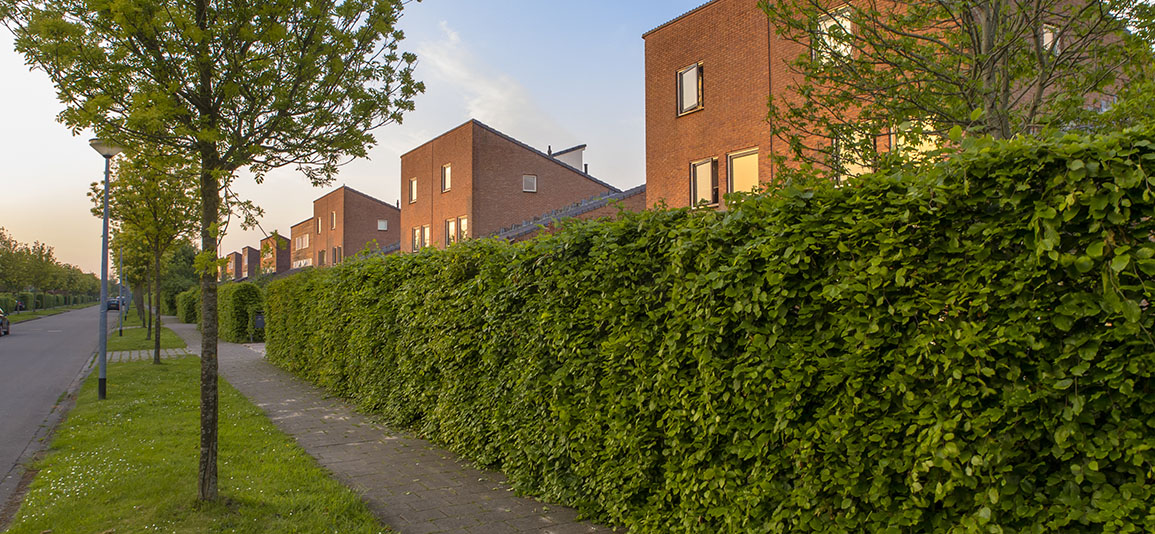 residential area