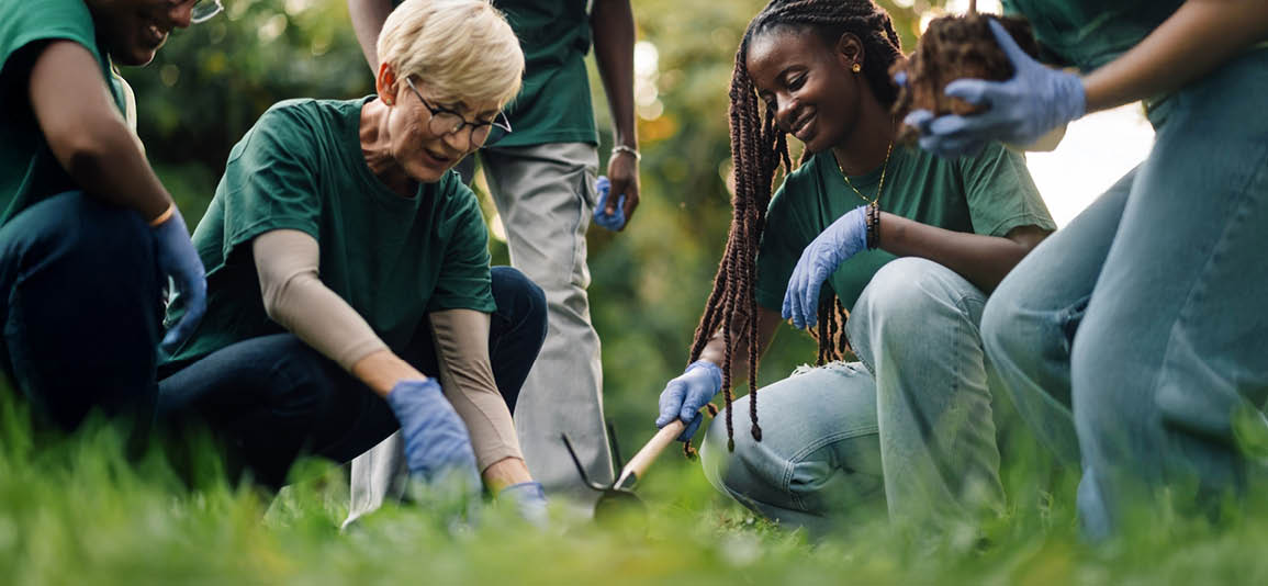 group of volunteers preparing hole to plant a tree