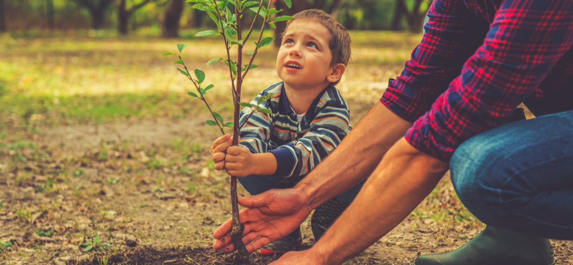 Young boy planting a tree with an adult man