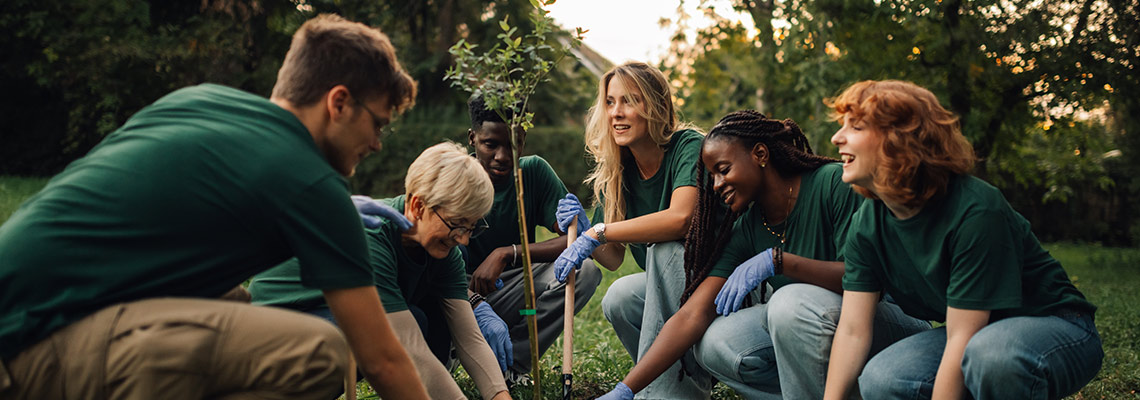 Group of volunteers planting a tree