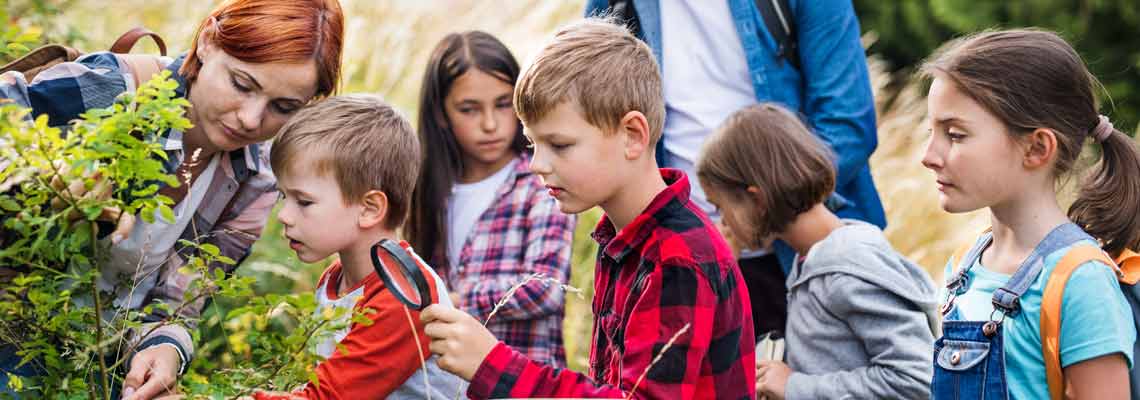 Group of school children with teacher on field trip