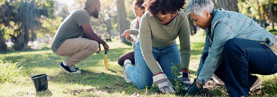 Community planting trees
