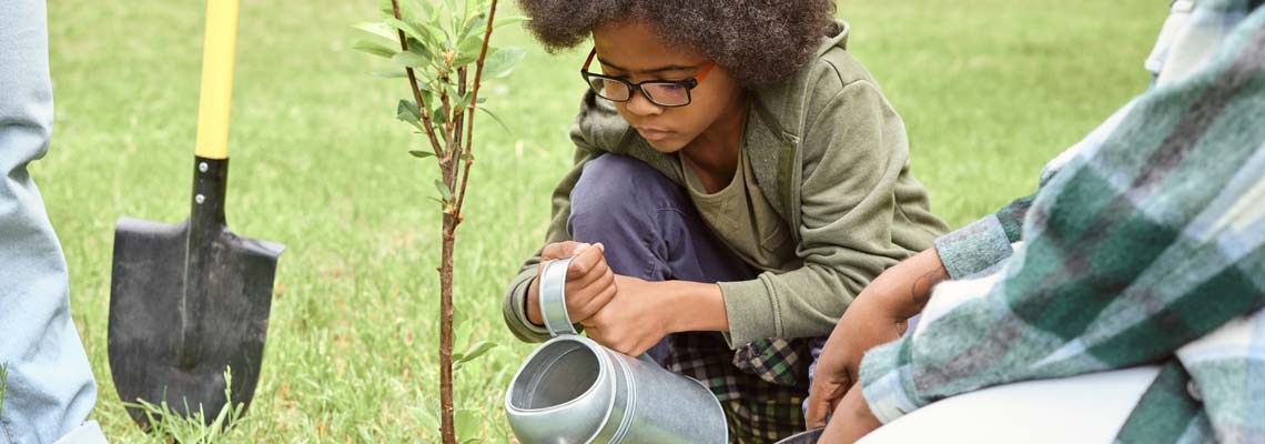Little boy watering small tree after planting it in park
