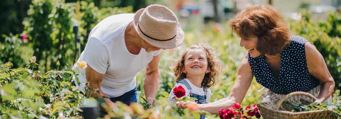 grandparents and granddaughter gardening in the garden