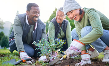people volunteering in park planting trees