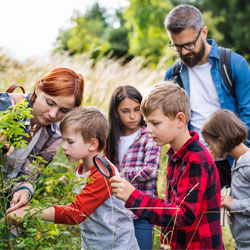 school trip in nature
