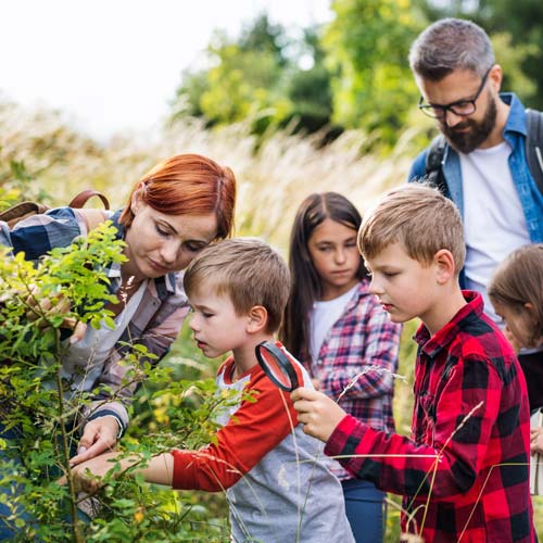 Group of school children with teacher on field trip in nature